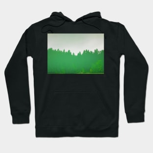 Forest Reflecting In The Calm Water Hoodie